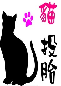 猫投胎回到主人身边